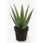 Kunst Sukkulente Aloe Variegata MARTINEZ, grün, 25cm, Ø17cm