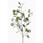 Eukalyptus Kunstzweig COLTON, grün-grau, 85cm