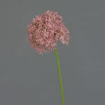 Allium künstlich ARNAU, rosa, 60cm, Ø10cm
