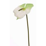 Kunstblume Flamingoblume MOIRA, weiß-grün, 75cm, 13x18cm