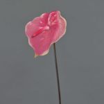 Kunstblume Flamingoblume MOIRA, pink-rosa, 75cm, 13x18cm
