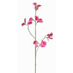 Dekoblume Lathyrus ASFALOTH, pink, 65cm, Ø3-5cm