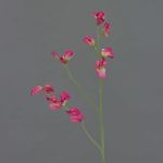 Dekoblume Lathyrus ASFALOTH, pink, 65cm, Ø3-5cm