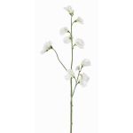 Dekoblume Lathyrus ASFALOTH, weiß, 65cm, Ø3-5cm