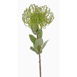 Kunst Nadelkissen Protea BAILY, grün, 55cm, Ø10cm
