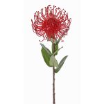 Kunst Nadelkissen Protea BAILY, rot, 55cm, Ø10cm