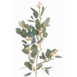 Deko Eukalyptus Zweig COBAR, blühend, crossdoor, grün, 65cm, Ø1,5cm