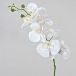 Dekozweig Phalaenopsis Orchidee OPHELIA, weiß, 80cm, Ø8-9cm