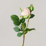 Samt Rose RENESMEE, zartrosa, 45cm, Ø6cm