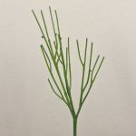 Deko Bleistiftpflanze BENEDETTO, grün, 50cm