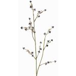 Deko Zweig Stirlingia latifolia COLLAN, schwarz-weiß, 75cm, Ø1cm