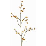 Deko Zweig Stirlingia latifolia COLLAN, orange-grün, 75cm, Ø1cm