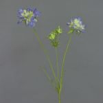 Kunst Scabiosa ANDIA, blau-lila, 80cm, Ø8-10cm
