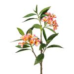 Künstlicher Zweig Frangipani DRIFEN, gelb-rosa, 110cm