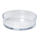 Obstschale VERA OCEAN aus Glas, transparent, 8cm, Ø29cm