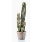 Künstlicher Kaktus San Pedro DACON im Dekotopf, grün, 55cm