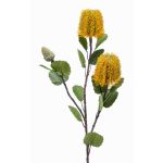 Künstliche Blume Banksia robur CONAKIR, gelb, 70cm