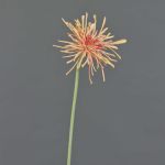 Chrysantheme künstlich SUSUMU, pfirsich-rosa, 60cm, Ø14cm