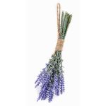 Dekobündel Lavendel SARAY, lila-blau, 25cm