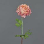 Ranunkel künstlich ELORIO, rosa-creme, 50cm, Ø10cm