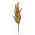 Deko Zweig Pampasgras Rispe BATERNO, hellbraun, 90cm