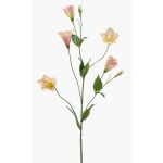 Kunstzweig Lisianthus PAZAN, rosa-creme, 70cm, Ø3-5cm
