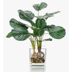 Künstliche Pflanze Calathea Orbifolia AGINA im Glastopf, grün-weiß, 45cm