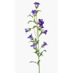 Blume künstlich Glockenblume AIMI, dunkellila-weiß, 90cm, Ø3-5cm