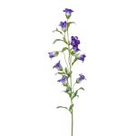 Blume künstlich Glockenblume AIMI, dunkellila-weiß, 90cm, Ø3-5cm