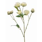 Dekozweig Kohl-Rose TRUVOL, weiß-grün, 65cm, Ø2-6cm