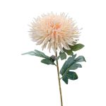 Kunstblume Chrysantheme HIKJON, creme-aprikose, 75cm, Ø18cm
