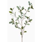 Deko Zweig Eukalyptus MERKAN, grün-grau, 90cm