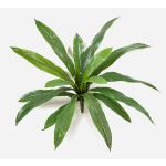 Künstlicher Asplenium JANE, grün, 40cm