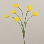 Kunst Craspedia Globosa STEPHANOS, gelb, 60cm, Ø2,5-3cm