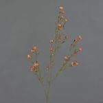 Kunst Wachsblume NIANG, orange-rot, 80cm, Ø1,5-2,5cm