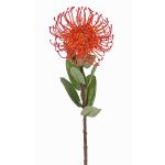 Kunst Nadelkissen Protea BAILY, orange, 55cm, Ø10cm