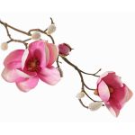 Dekozweig Magnolie KOSTAS, rosa-pink, 55cm, Ø6-8cm