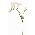 Deko Blume Freesie MARUSHA, weiß, 70cm, Ø6cm