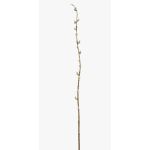 Künstlicher Zweig Kätzchenweide DAFINO mit Blüten, weiß, 105cm