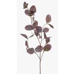 Deko Zweig Eukalyptus MAXEN mit Früchten, violett-grau, 75cm