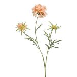 Künstlicher Zweig Scabiosa MARUA, pfirsich, 80cm