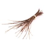Kork Ästchen KAUKO im Bund, natur, 40-70cm
