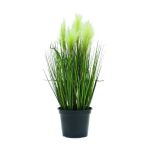 Deko Federgras TIMEA mit Rispen, grün, 60cm
