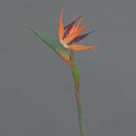 Kunstblume Strelitzie WEIYU, orange-violett, 60cm, 10x13cm