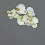 Dekozweig Phalaenopsis Orchidee SONGYA, weiß-grün, 50cm, Ø6-7cm