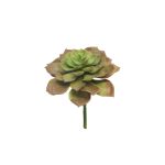 Kunststoffschaum Echeveria morani XINYA auf Steckstab, rot-grün, 17cm