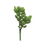 Kunst Sukkulente Geldbaum MUNING, Steckstab, grün, 14cm