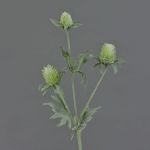 Kunst Edeldistel SVEA, grün, 40cm, Ø2-3cm