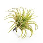 Kunst Sukkulente Tillandsia Rubra PENNY, Stecker, grün-rot, 12cm, Ø10cm