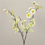 Kunst Kirschblütenzweig SOEY mit Blüten, creme-weiß, 45cm, Ø2-4,5cm